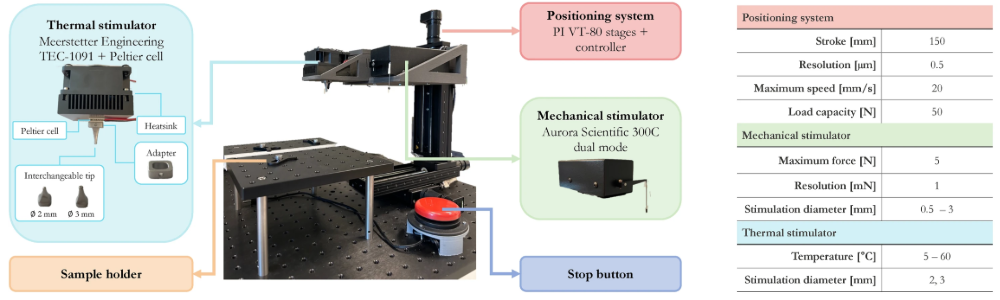 Heat stimulator for neuro studies | Temperature control with Meerstetter TEC‑1091